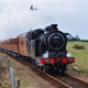 Illustration for article titled Experts Warn Number Of Retirees Will Completely Overwhelm Scenic Railway Industry By 2030